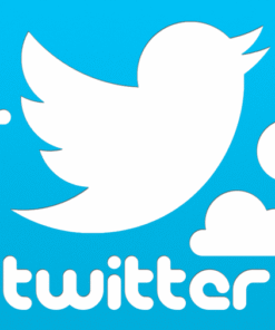 Twitter Cổ Thời Gian Tạo Lâu – Tài Khoản X Trust Tốt – Dễ Vận Hành – Ít Rủi Ro – Bảo Hành Đổi Acc