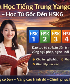 Khóa Học Tiếng Trung Yangdexin Học Từ Gốc Đến Hsk6